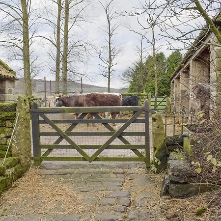 The Old Sheaf Store - Kyz Glaisdale
