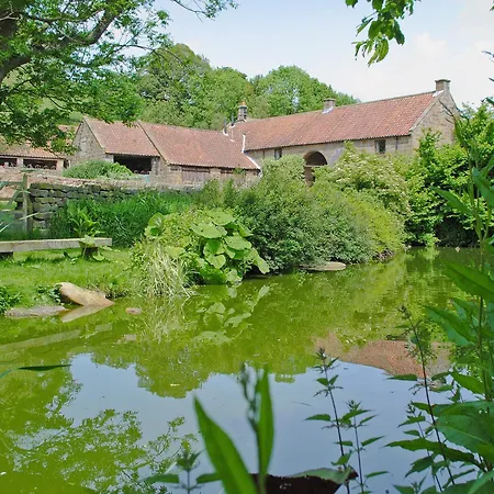 The Old Sheaf Store - Kyz